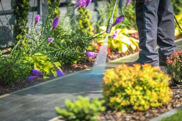 Best Parking Lot and Garage Cleaning  in Bray, OK